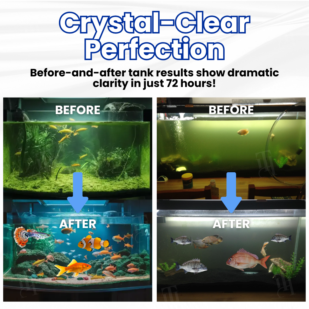 ⚡Limited Stock!!! AEXZR® Max-Power Aquarium Purification Tablet
