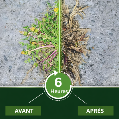 ✨ De la Jungle à la Pelouse Parfaite ! | ⏱️ Disparition Visible en 6 Heures ! | AEXZR® Herbicide 2-en-1 Ultra-Puissant