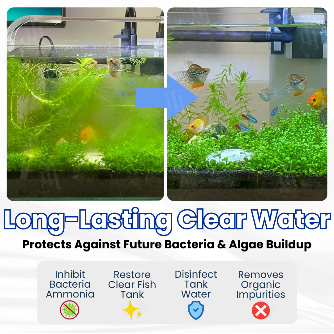 ⚡Limited Stock!!! AEXZR® Max-Power Aquarium Purification Tablet