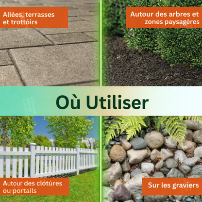 ✨ De la Jungle à la Pelouse Parfaite ! | ⏱️ Disparition Visible en 6 Heures ! | AEXZR® Herbicide 2-en-1 Ultra-Puissant
