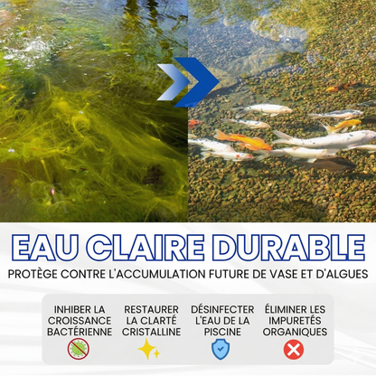 ✨ Du Vert au Clair en une Nuit ! | ⏱️ Cristallin en 24 Heures ! | AEXZR® Aqua-Guardian Formule Pro