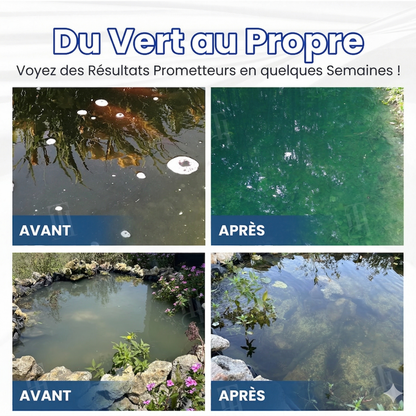 ✨ Du Vert au Clair en une Nuit ! | ⏱️ Cristallin en 24 Heures ! | AEXZR® Aqua-Guardian Formule Pro